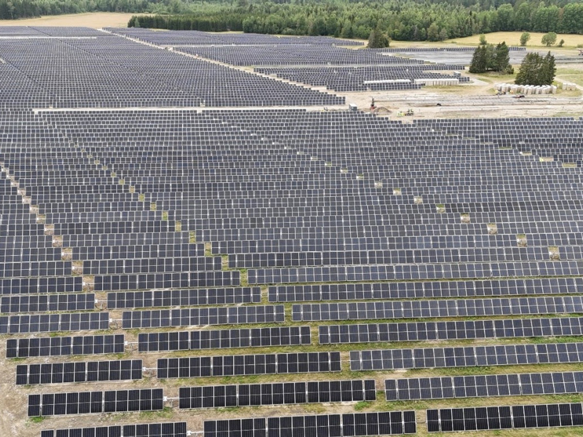 Field of solar panels at a solar power plant